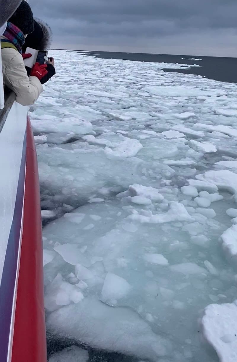 Abashiri Drift Ice Sightseeing