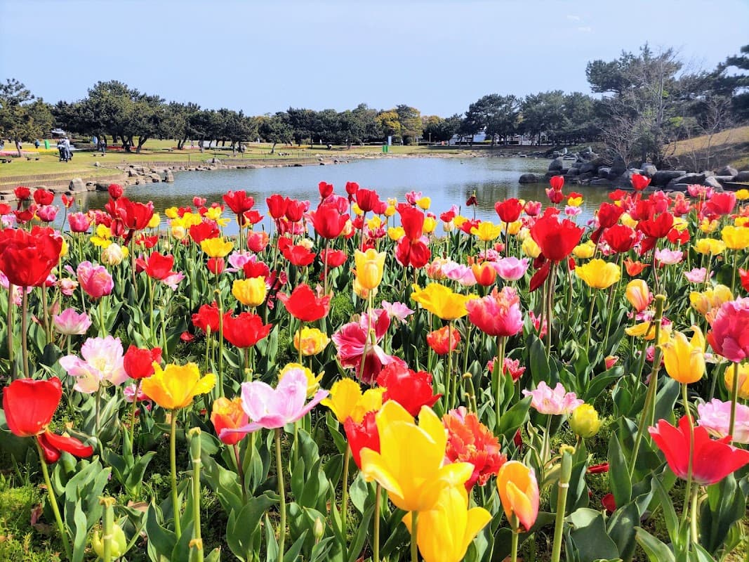 Uminonakamichi Seaside Park