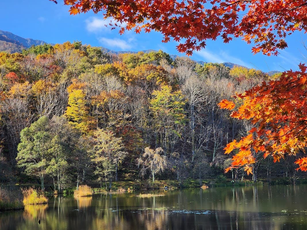 Kannon-numa Forest Park