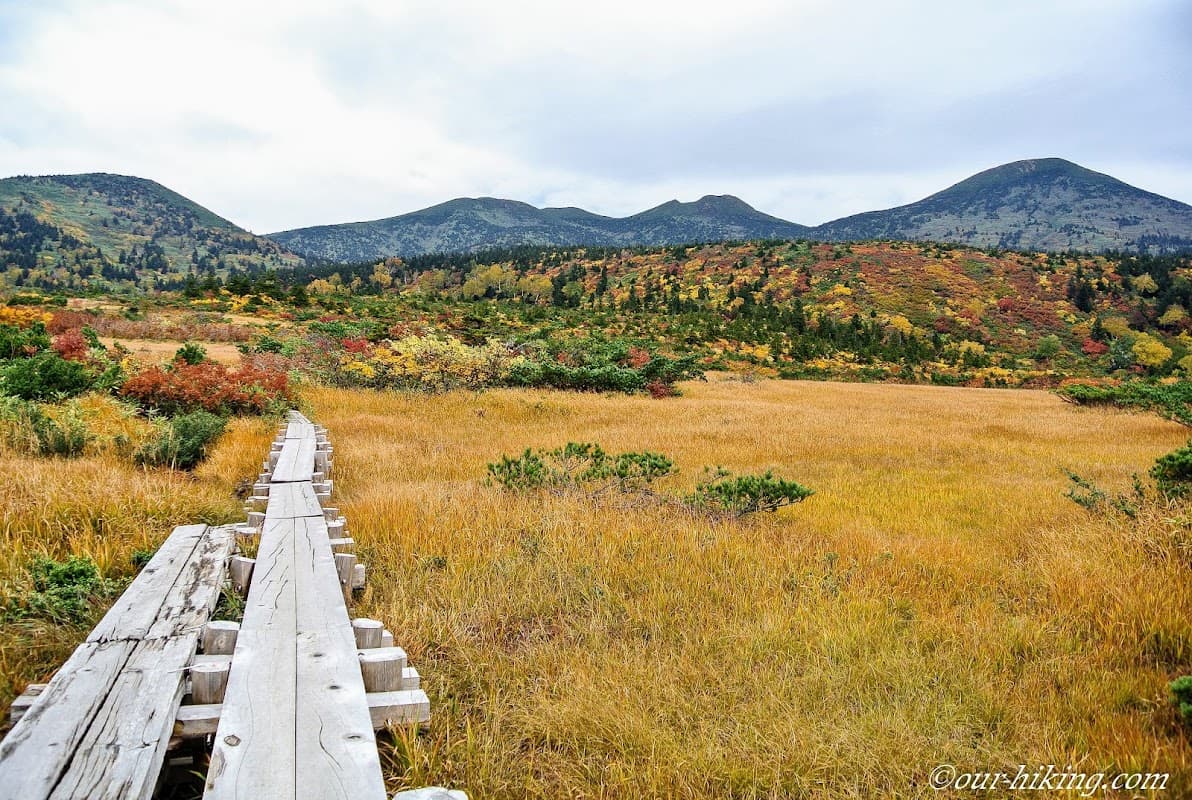 Kenashitai Marshland Trail