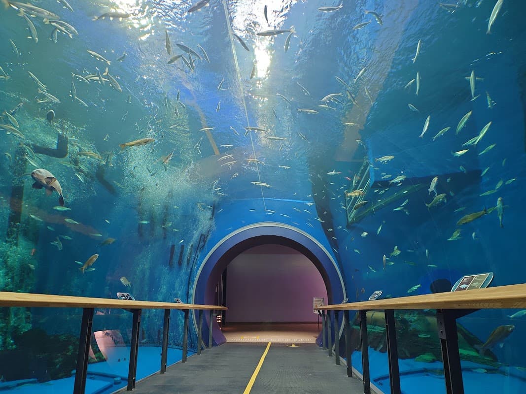 Koka Medicine Museum