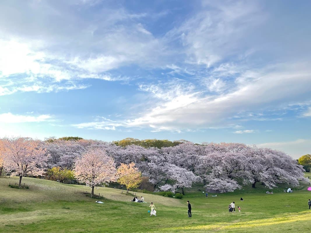 Negishi Shinrin Park