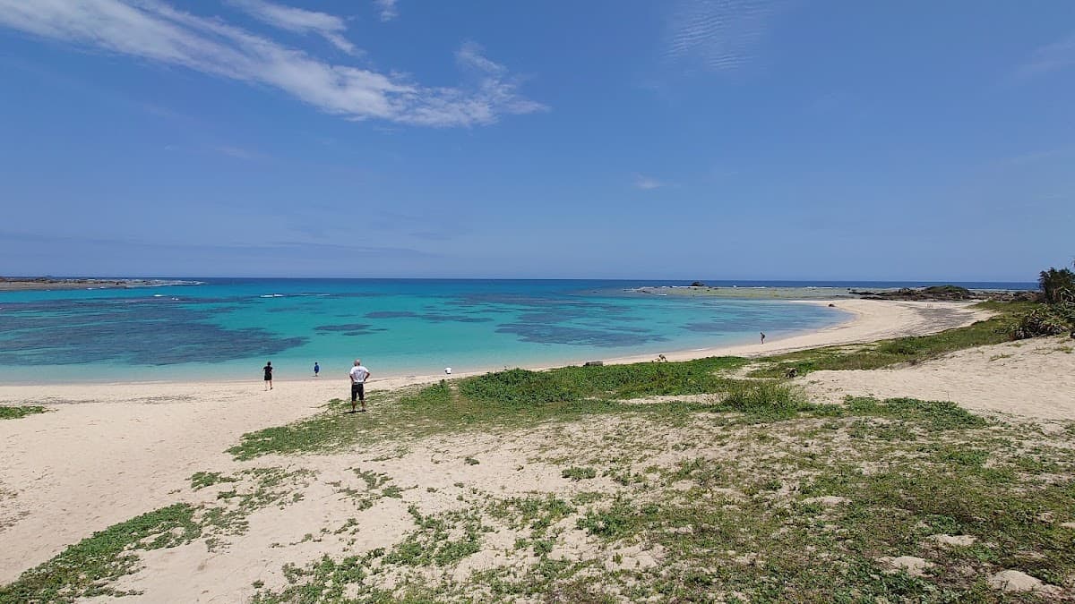 The Reefs of Amami-Oshima