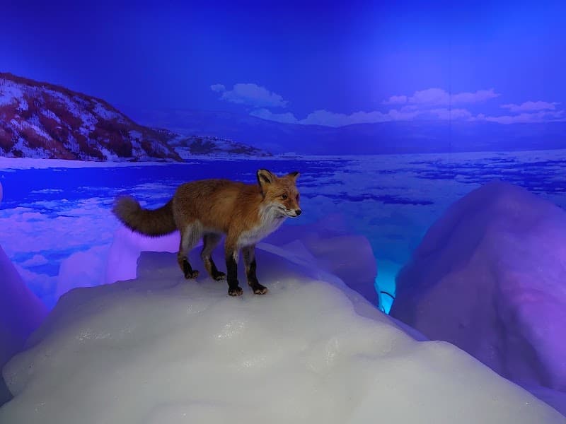 Okhotsk Drift Ice Museum